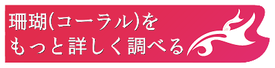 珊瑚の意味と効果