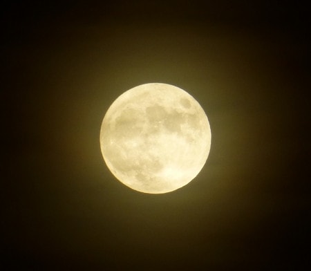 月光浴の写真画像